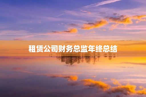 租赁公司财务总监年终总结