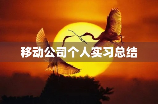 移动公司个人实习总结 移动公司个人实习总结