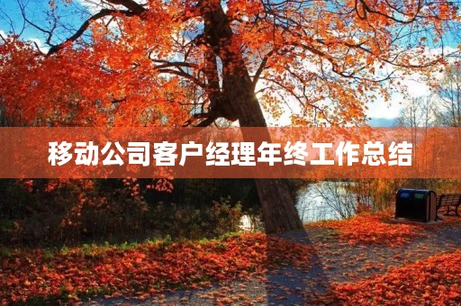 移动公司客户经理年终工作总结