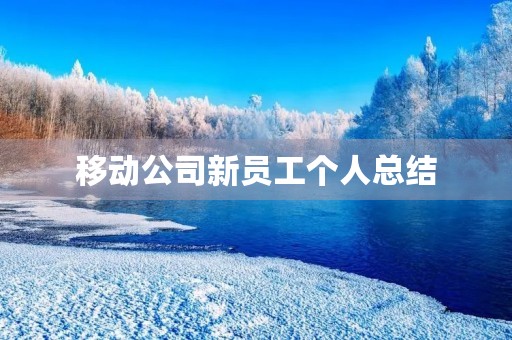 移动公司新员工个人总结