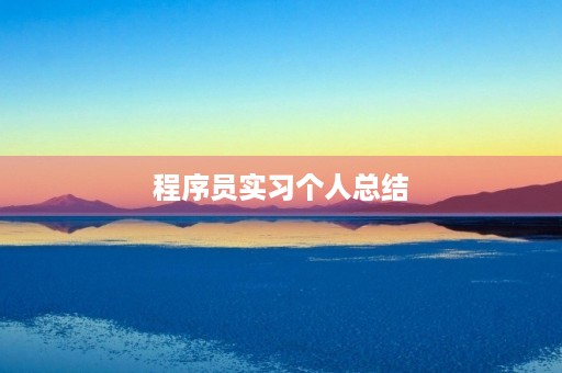 程序员实习个人总结