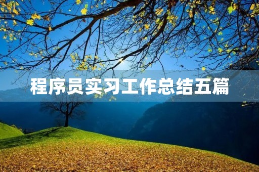 程序员实习工作总结五篇 程序员实习工作总结五篇