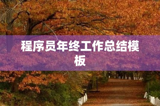 程序员年终工作总结模板 程序员年终工作总结模板