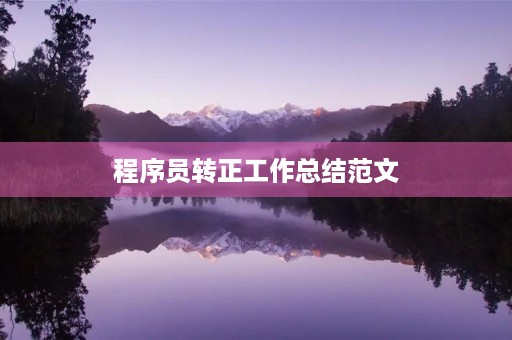 程序员转正工作总结范文