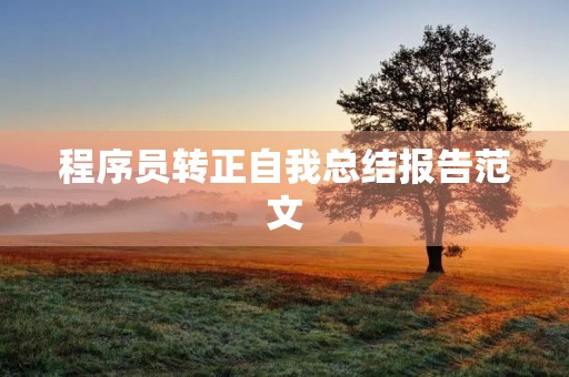 程序员转正自我总结报告范文