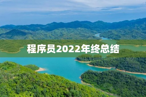 程序员2022年终总结