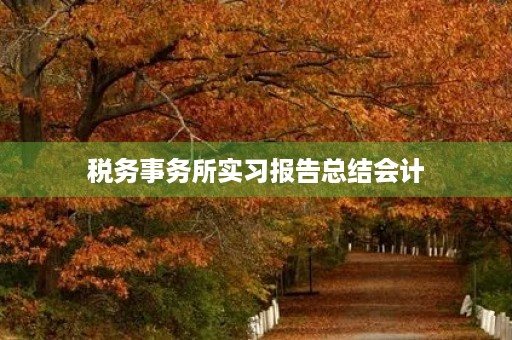 税务事务所实习报告总结会计