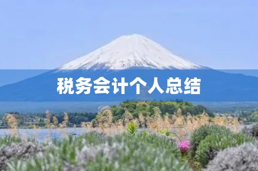 税务会计个人总结