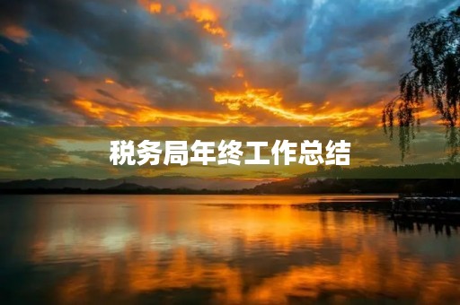 税务局年终工作总结
