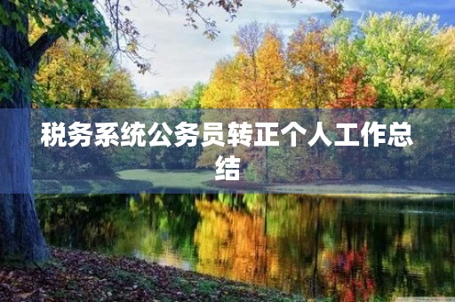税务系统公务员转正个人工作总结