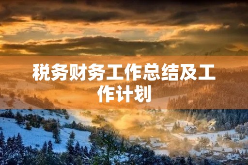 税务财务工作总结及工作计划
