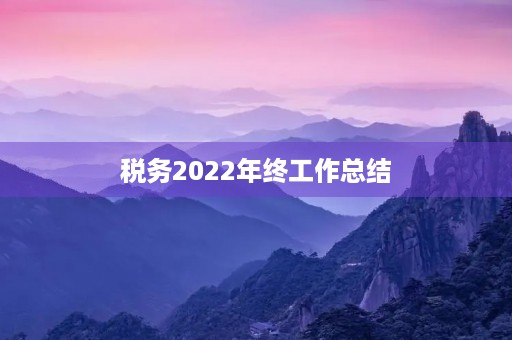 税务2022年终工作总结