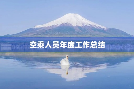 空乘人员年度工作总结