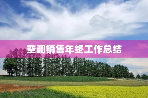 空调销售年终工作总结