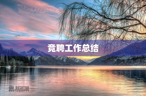 竞聘工作总结