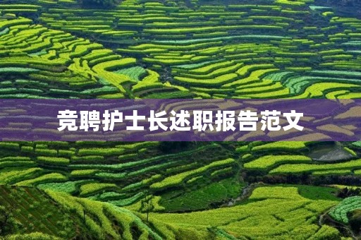 竞聘护士长述职报告范文（12篇）