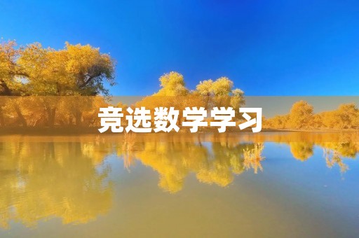 竞选数学学习