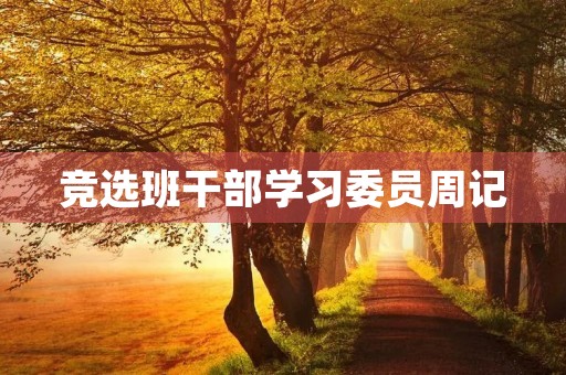 竞选班干部学习委员周记 竞选班干部学习委员周记
