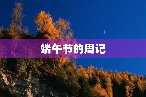 端午节的周记 端午节的周记