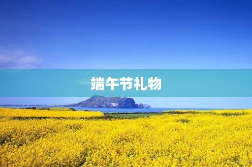 端午节礼物 端午节礼物