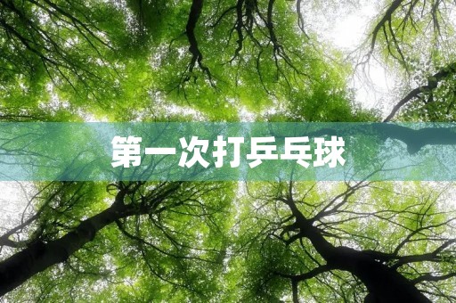第一次打乒乓球