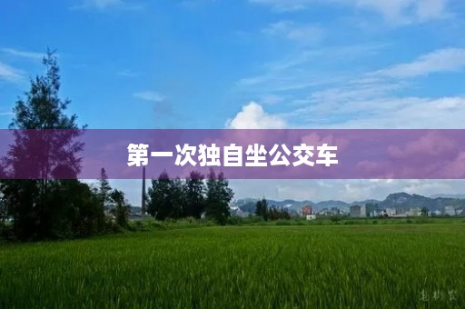 第一次独自坐公交车