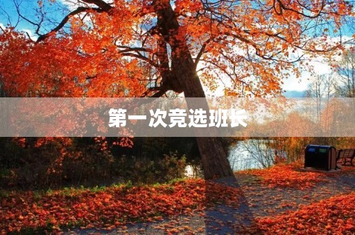 第一次竞选班长 第一次竞选班长