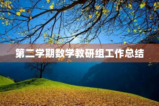第二学期数学教研组工作总结