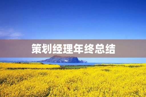 策划经理年终总结