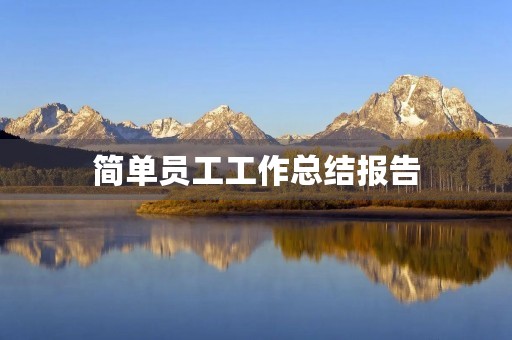 简单员工工作总结报告（通用）