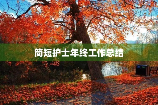 简短护士年终工作总结