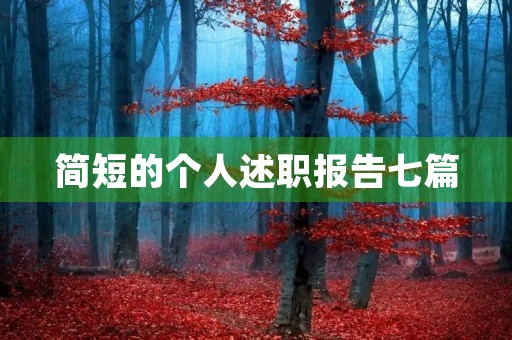 简短的个人述职报告七篇