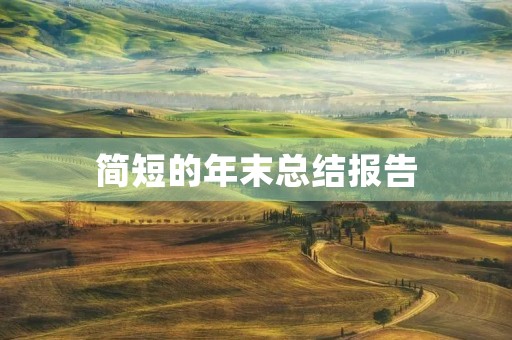 简短的年末总结报告
