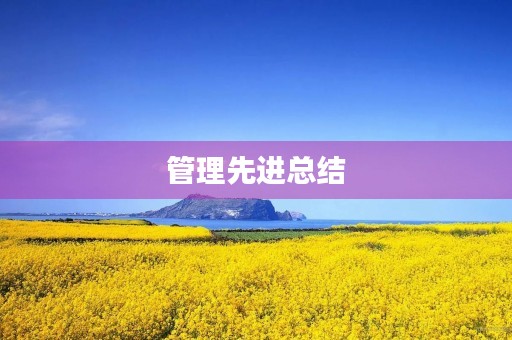 管理先进总结