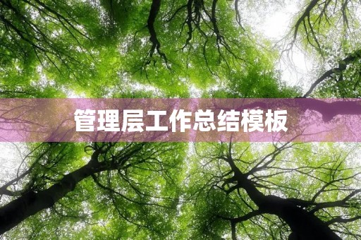 管理层工作总结模板