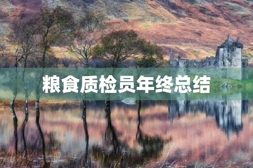 粮食质检员年终总结