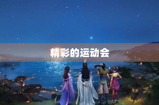 精彩的运动会 精彩的运动会