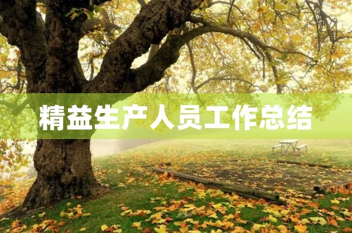 精益生产人员工作总结