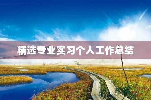 精选专业实习个人工作总结 精选专业实习个人工作总结