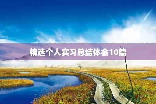 精选个人实习总结体会10篇
