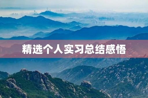 精选个人实习总结感悟