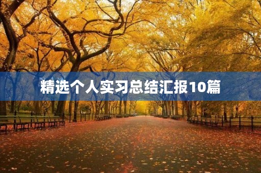 精选个人实习总结汇报10篇