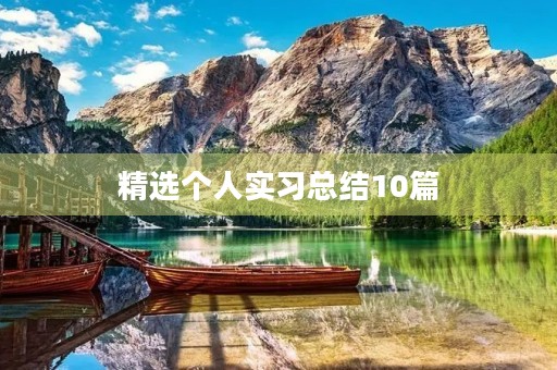 精选个人实习总结10篇
