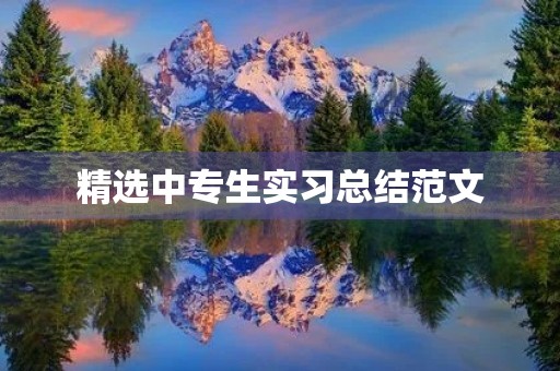 精选中专生实习总结范文 精选中专生实习总结范文