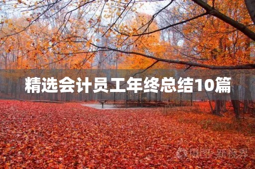 精选会计员工年终总结10篇 精选会计员工年终总结10篇