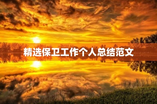 精选保卫工作个人总结范文