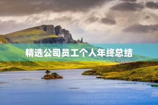 精选公司员工个人年终总结 精选公司员工个人年终总结