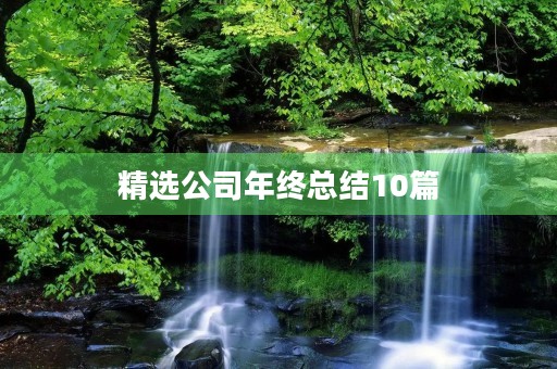 精选公司年终总结10篇