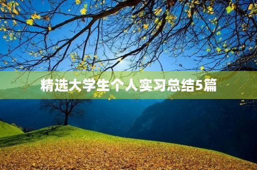 精选大学生个人实习总结5篇