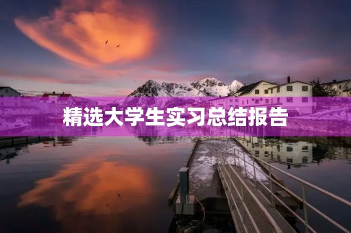 精选大学生实习总结报告